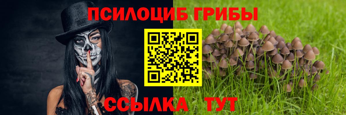 Новошахтинск  Галлюциногенные грибы прущие грибы  Вход с VPN 